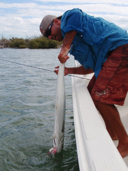 SWOFFA - Saltwater Fly Fishing Australia - Fly fishing