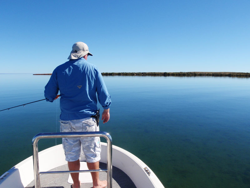 SWOFFA - Saltwater Fly Fishing Australia - Fly fishing