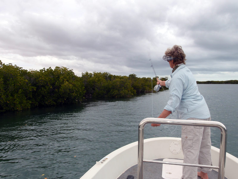 SWOFFA - Saltwater Fly Fishing Australia - Fly fishing destinations in  Australia