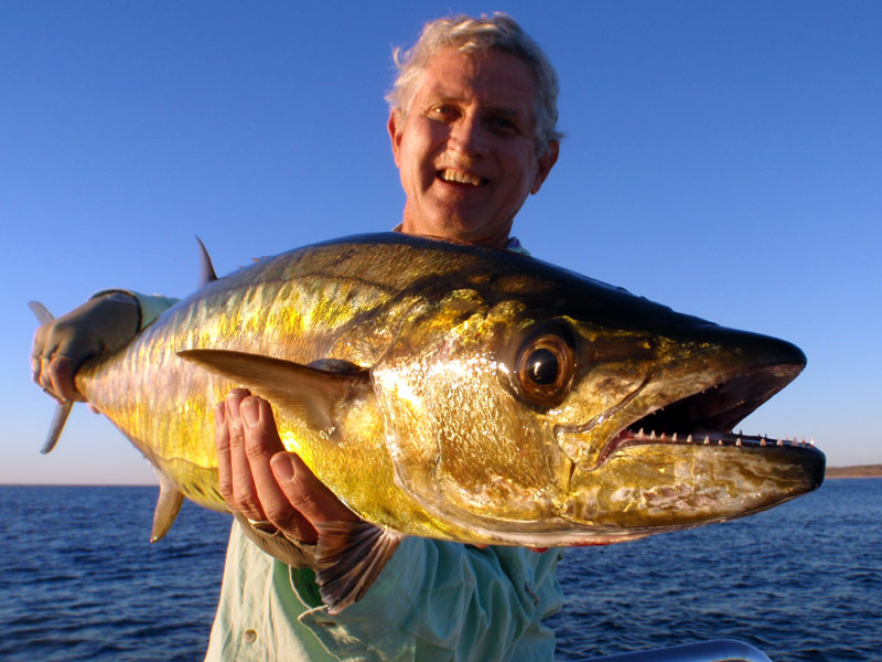 SWOFFA - Saltwater Fly Fishing Australia - Fly fishing destinations in  Australia