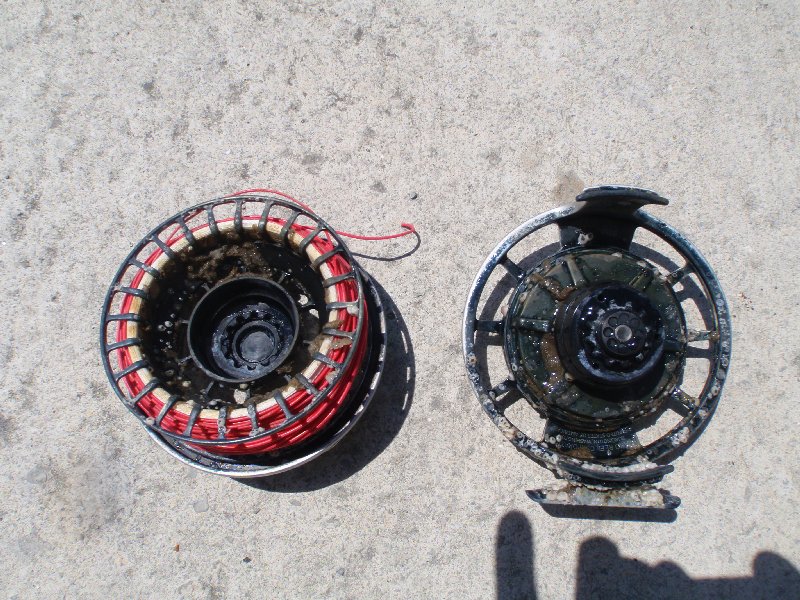 colton torrent fly reel microskiff Series Reels Collections Colton Fly Company