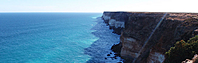 Saltwater Fly Fishing in South Australia