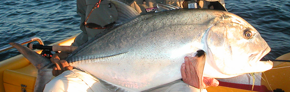 Target Trevally - Giant when you Fly Fish in Australia